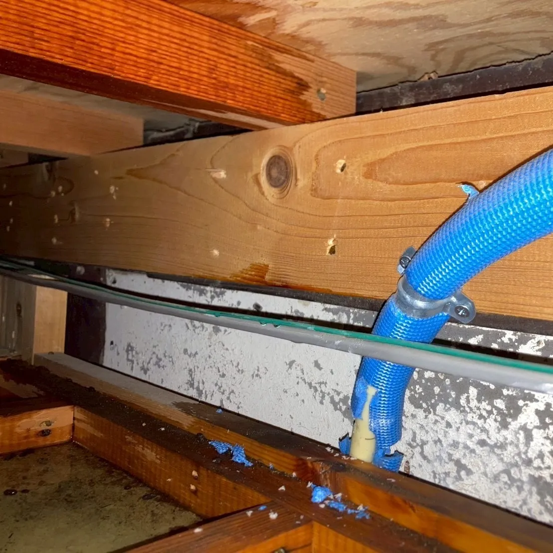 ネズミやその他の害獣による被害は、見えないところで静かに進行...