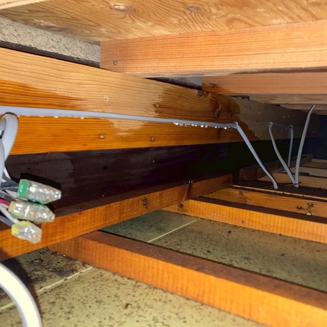 ネズミやその他の害獣による被害は、見えないところで静かに進行...