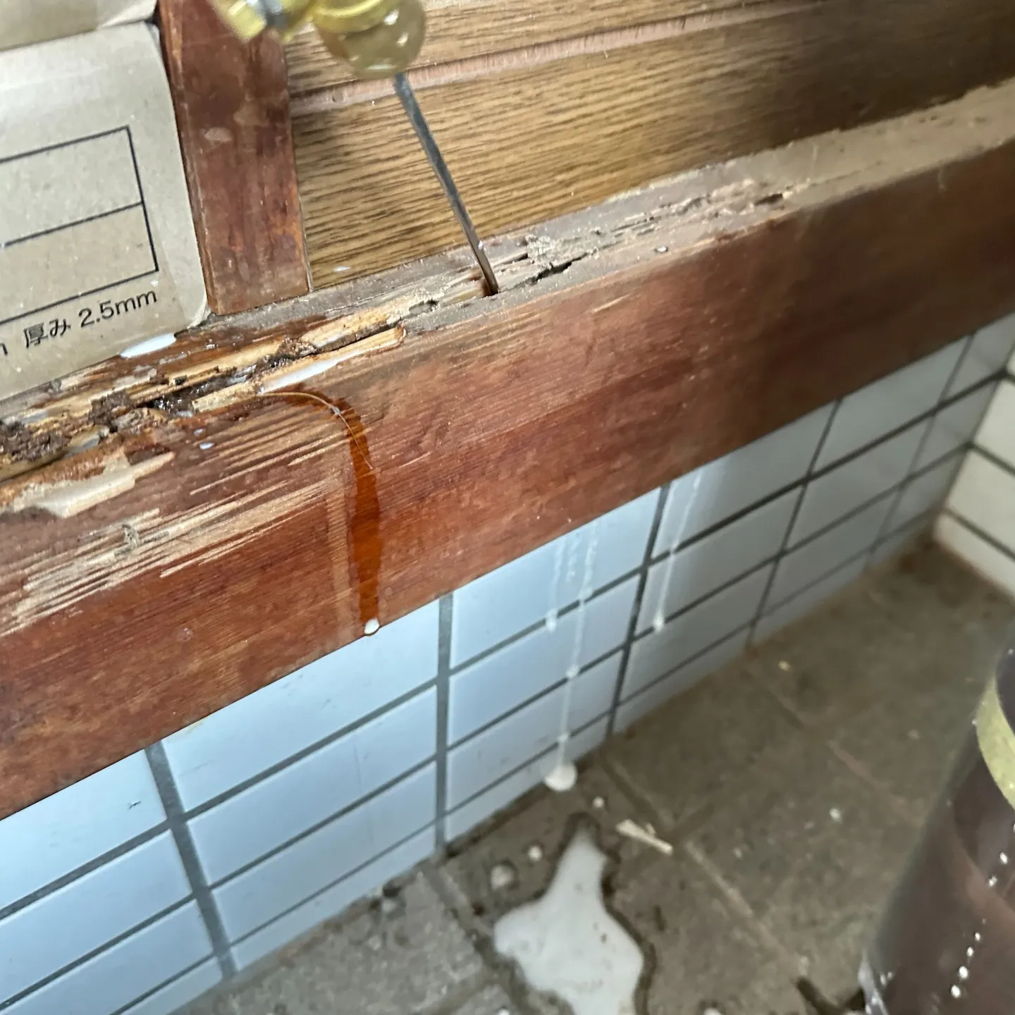 東大阪市で頼りになるシロアリ駆除サービスをお探しですか？築年...