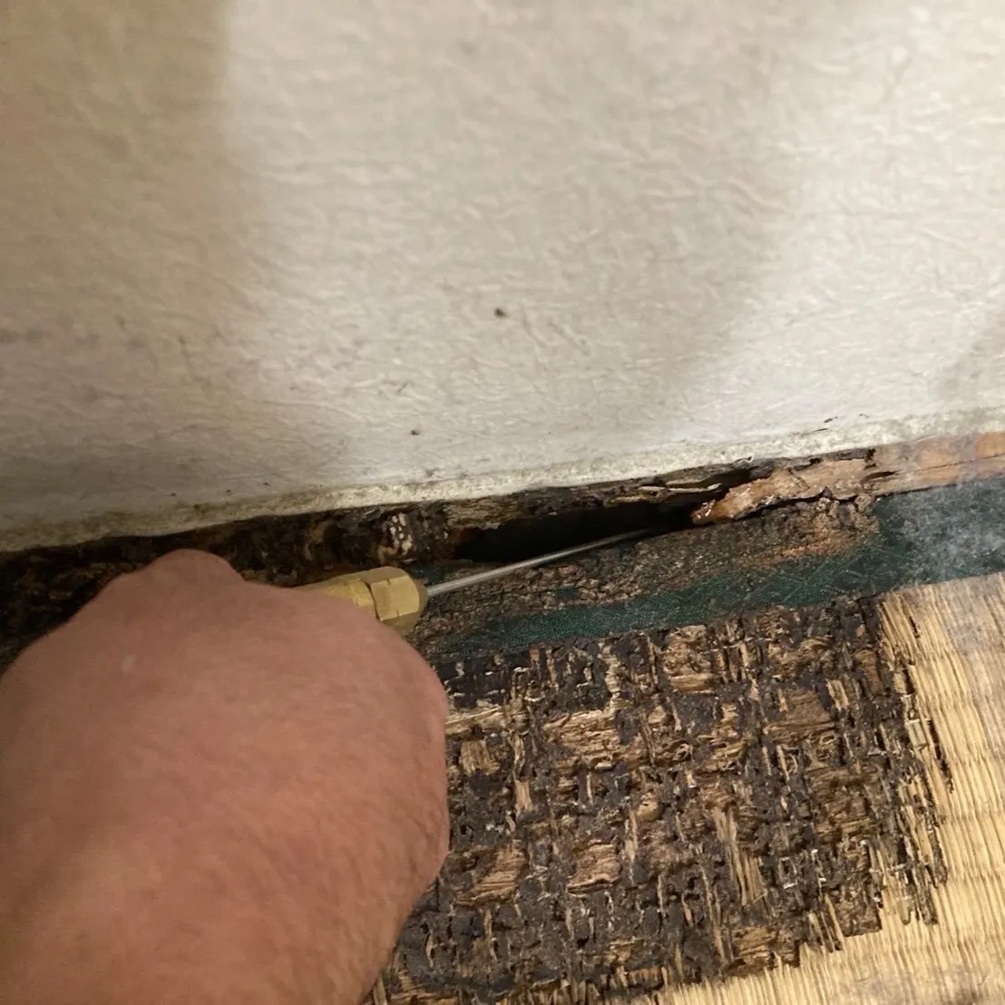 タンスや押入れを久しぶりに開けてみたら、思ってもみなかった光...