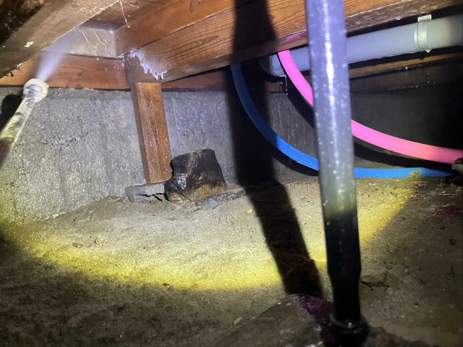 八尾市K様邸　シロアリ工事