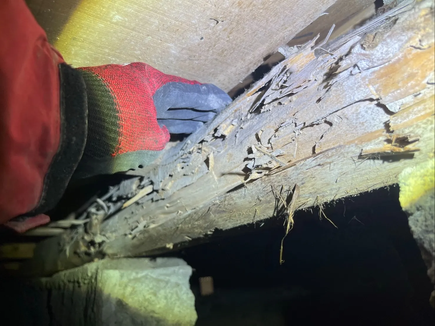 八尾市K様邸　シロアリ工事