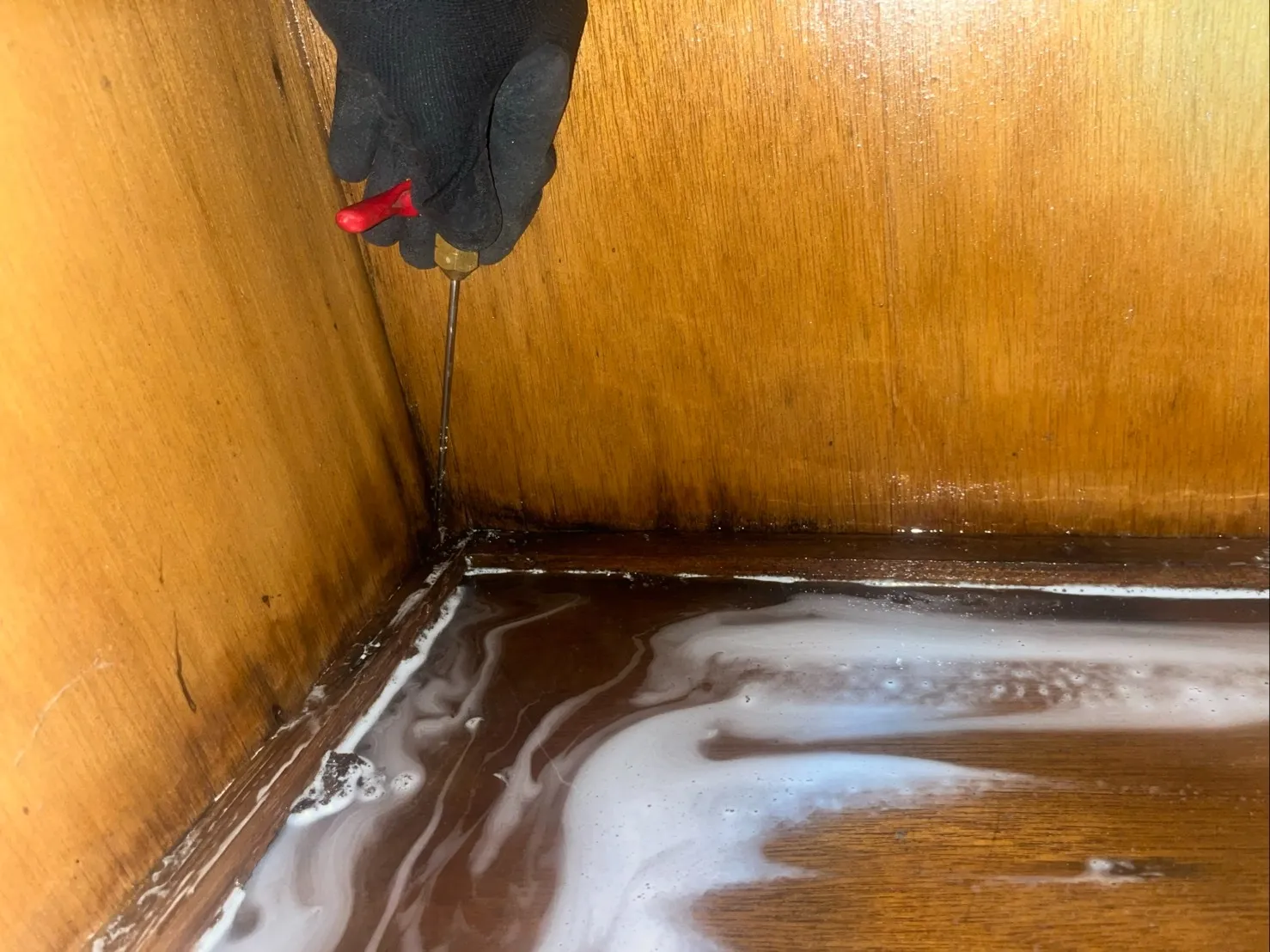 岩出市N様邸　シロアリ工事