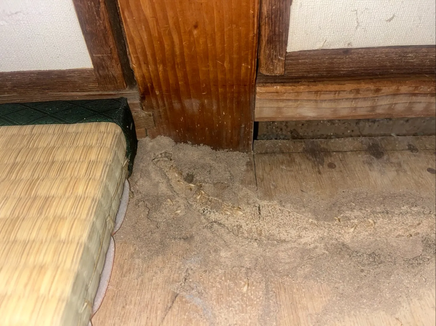 岩出市N様邸　シロアリ工事