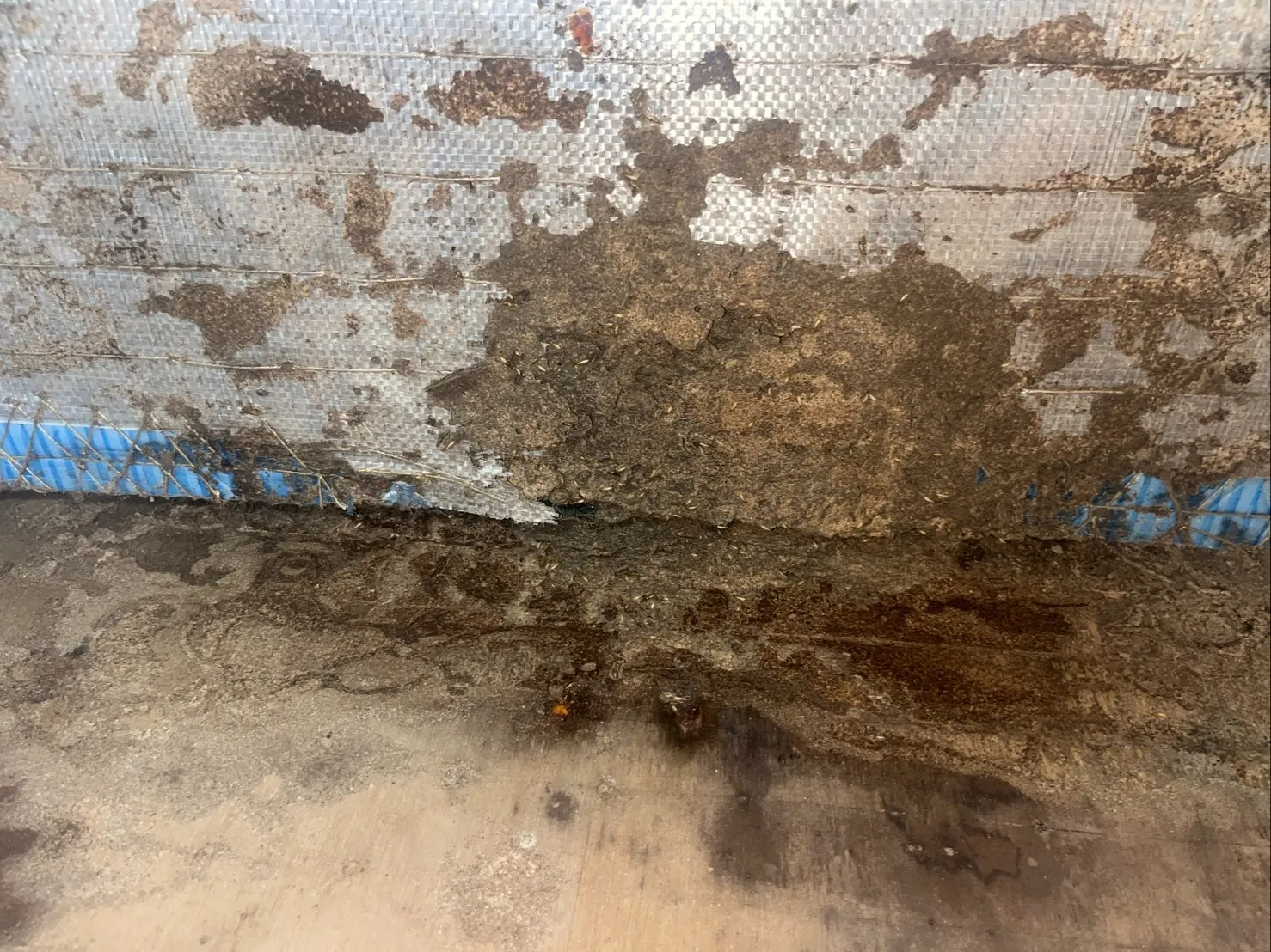 岩出市N様邸　シロアリ工事