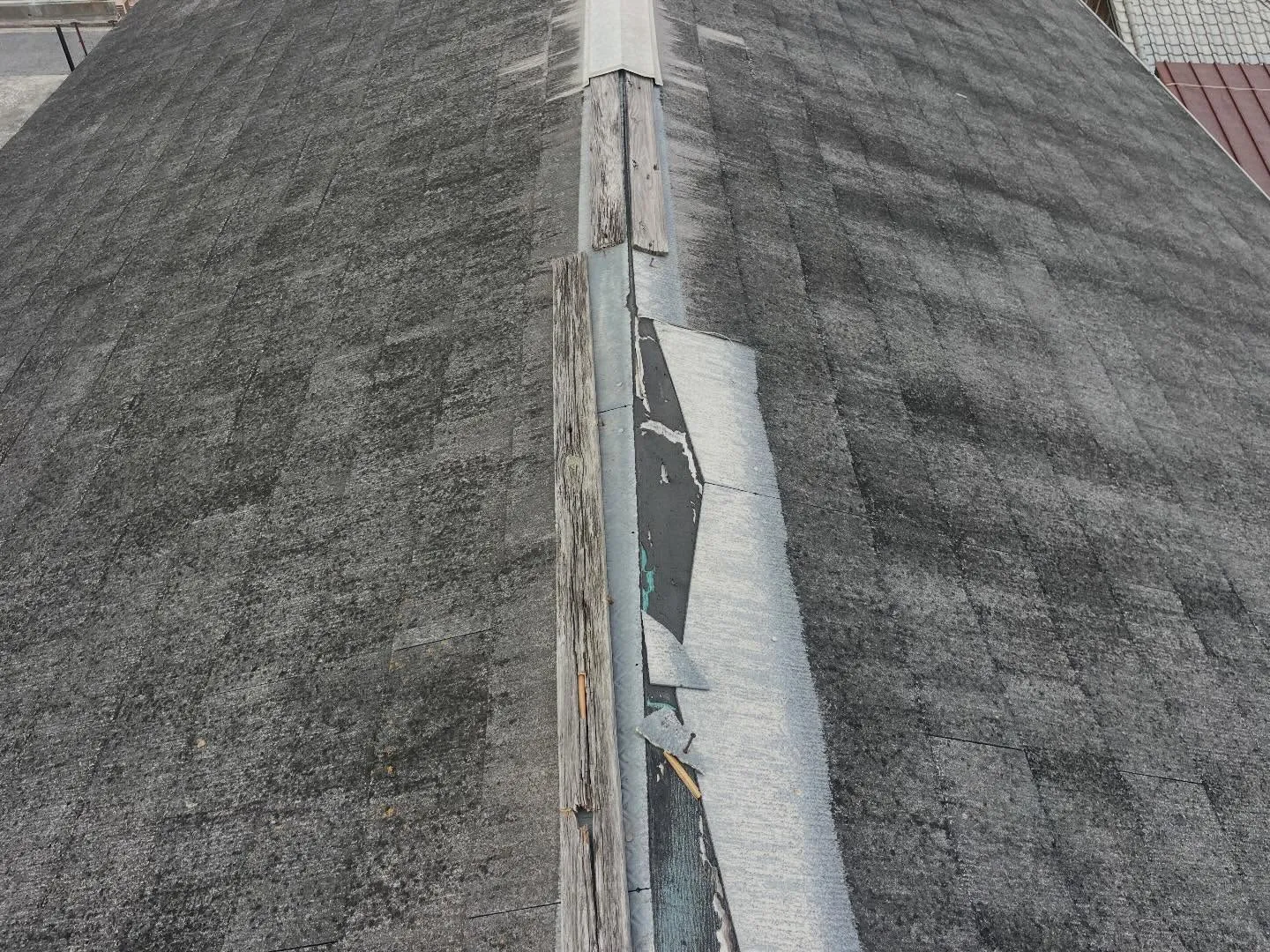 屋根は普段なかなか注目しない場所だけど、実は家の大切な部分！...