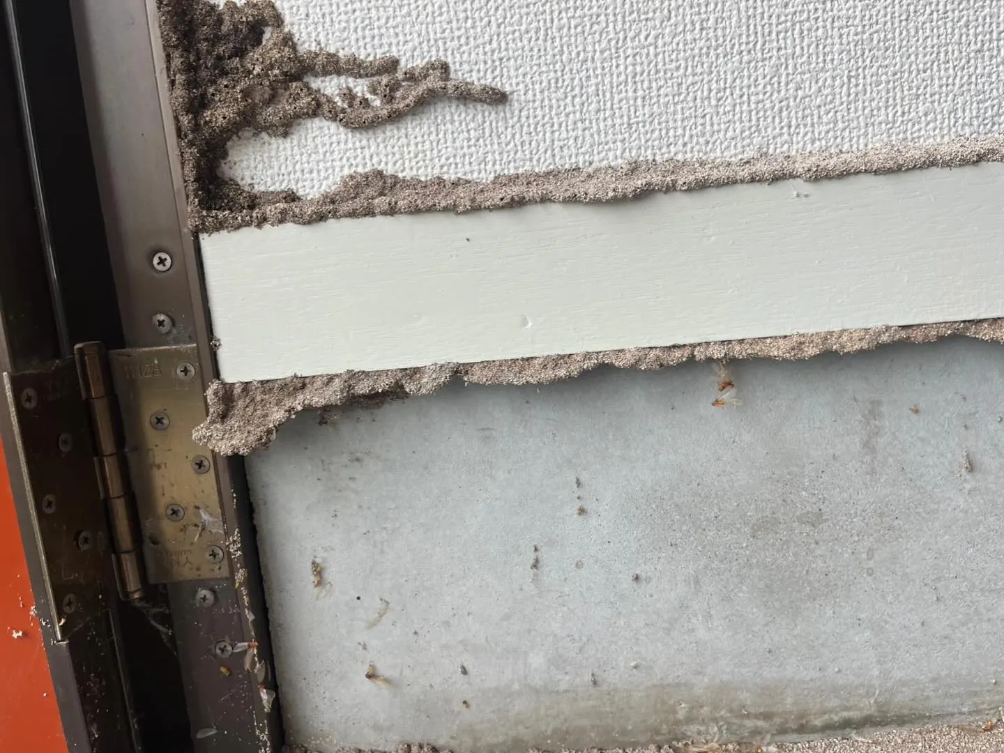 空き家になったまま放置しているお家、大丈夫ですか？知らぬ間に...