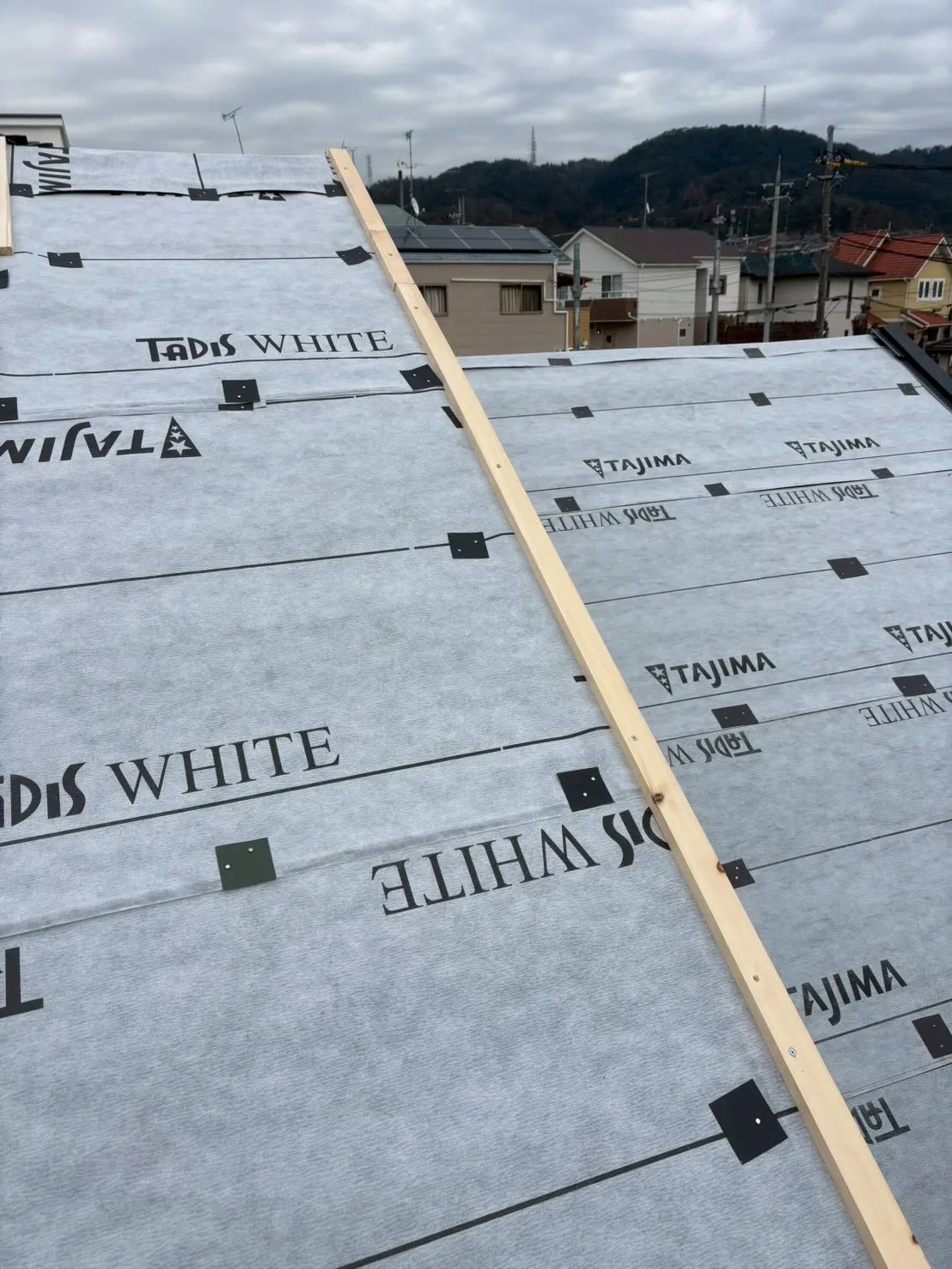 今日は八尾市で大きな一歩を踏み出しました。