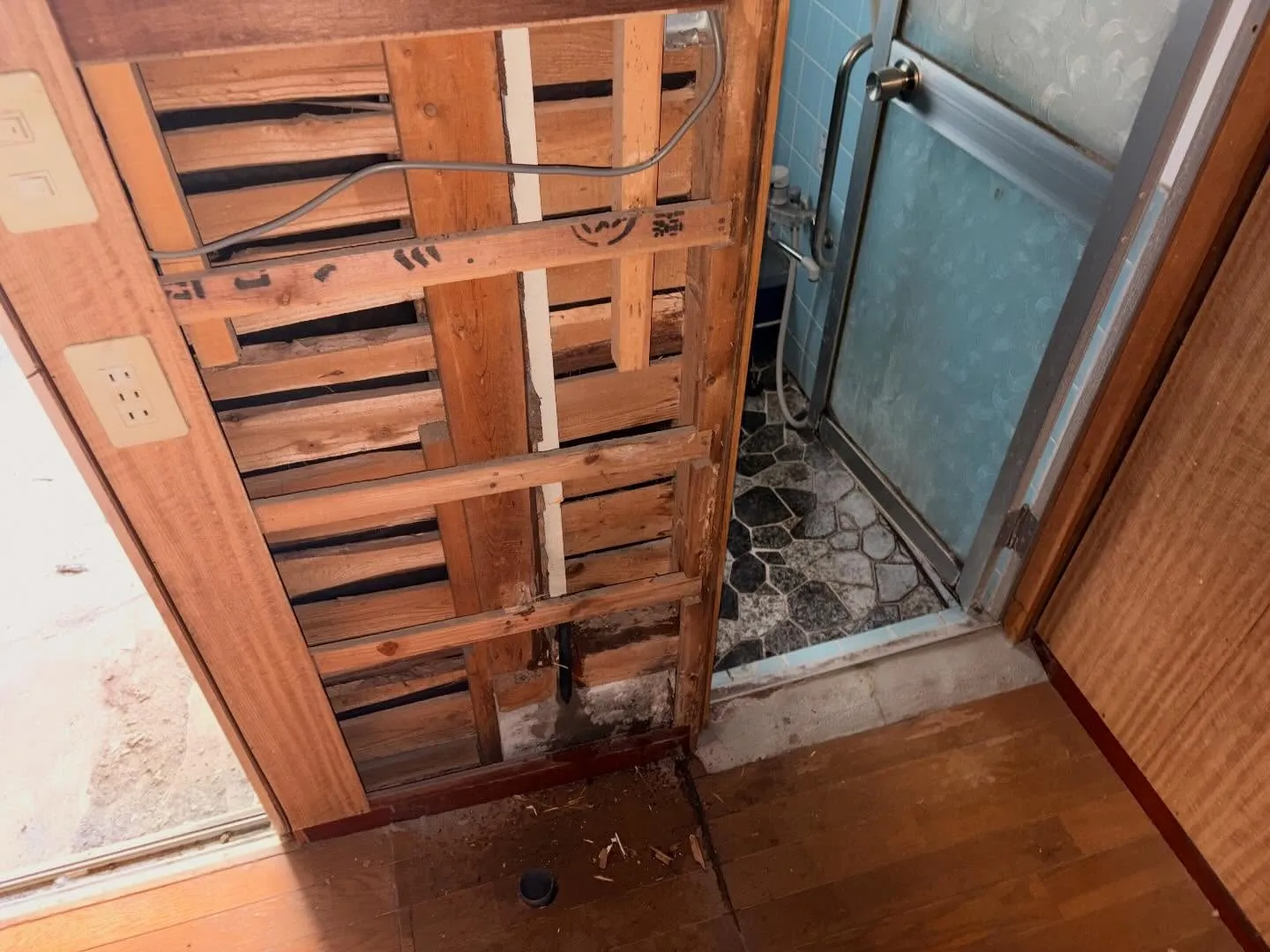 施工中の裏話！洗面台を外してみたら、なんとシロアリの蟻道を発...