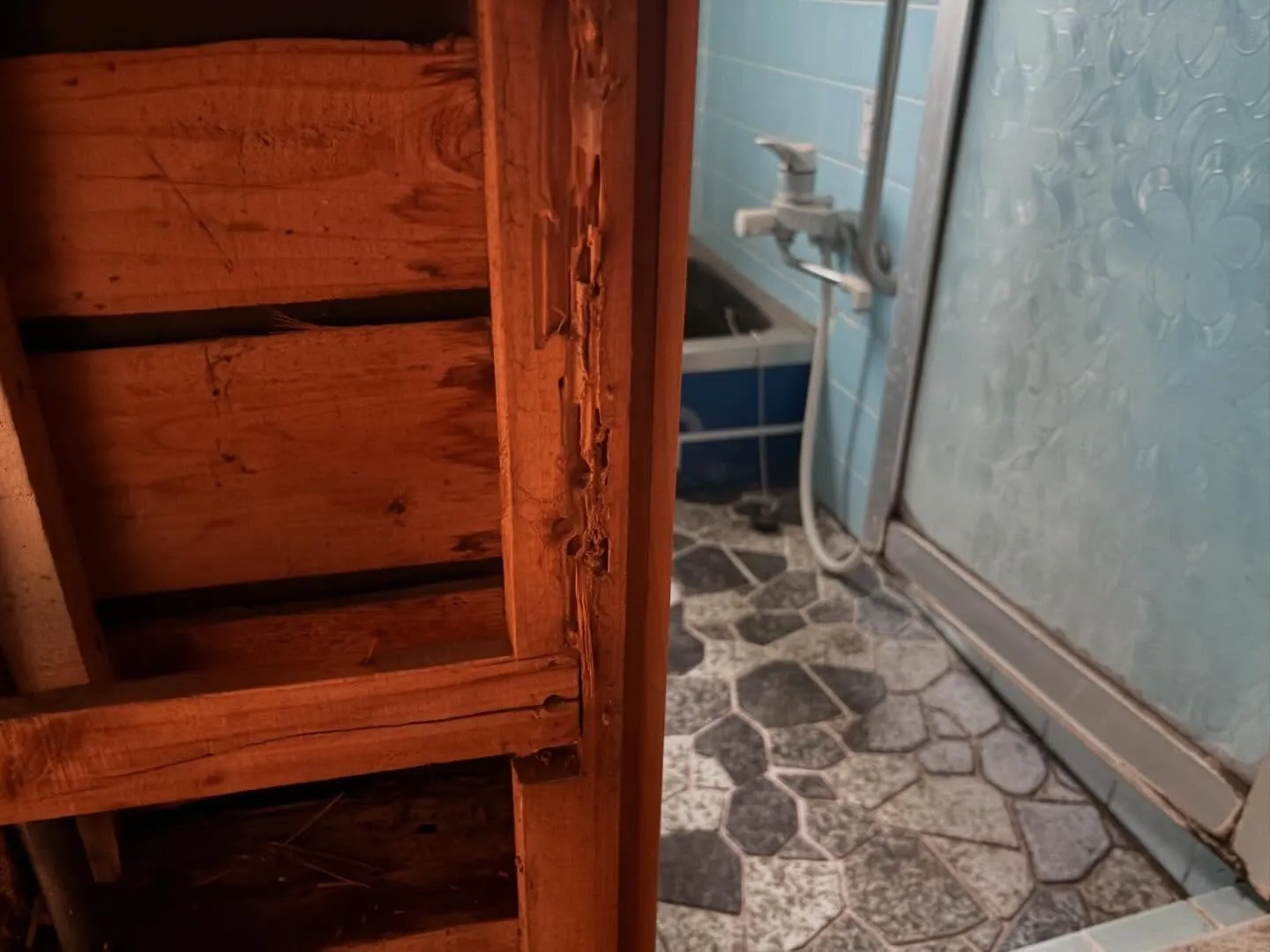 施工中の裏話！洗面台を外してみたら、なんとシロアリの蟻道を発...